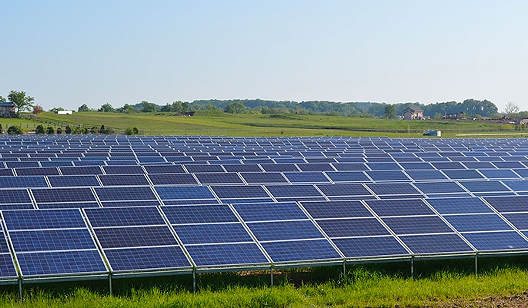 Solar Field Standing Height View